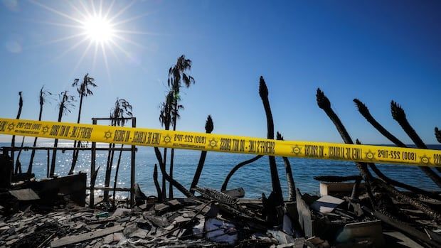 Charred palm trees and debris near ocean. Yellow police tape crosses the scene