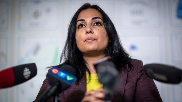 A South Asian woman answers questions in front of media-branded microphones.