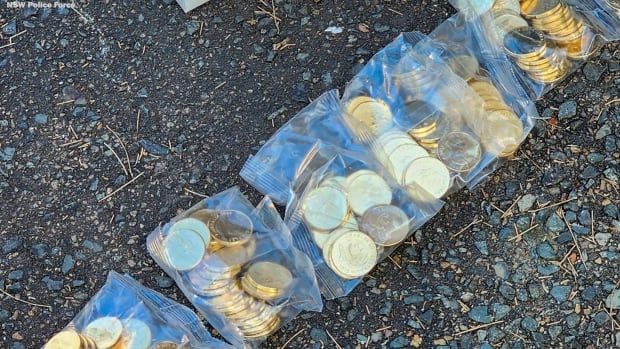 Several plastic bags containing gold coins are lined up in a diagonal on the gravelly ground that stretches from the bottom left corner of the image to the top right corner. 