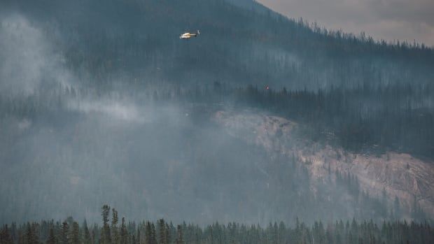 A helicopter, very small, is visible flying at the top of the image. The image shows a forest on the side of a large hill or small mountain. There is smoke rising from the trees. 