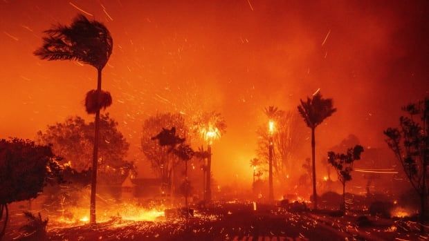 A street is seen, with palm trees blowing in a high wind, sparks and small flames visible everywhere. The entire image is cast over with orange. Several trees are on fire. 