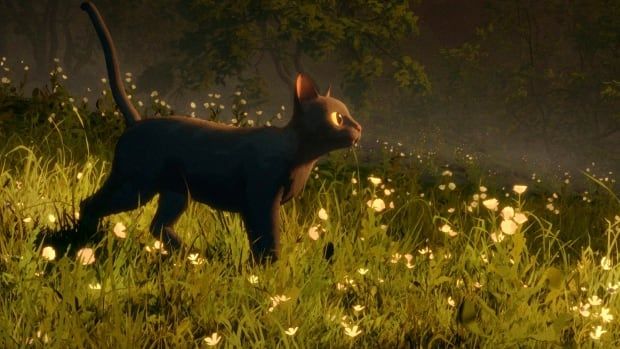 A screenshot from an animated film shows a black cat walking through a grassy field with white flowers, at either sunrise or sunset, with warm lighting everywhere. 