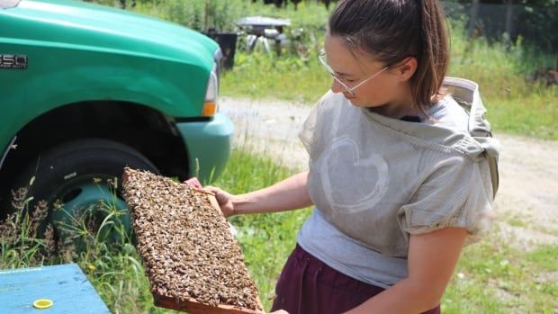 A woman looks at a bee hive as she holds a part in her hands. 