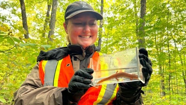 woman holding water tank with salamander in it