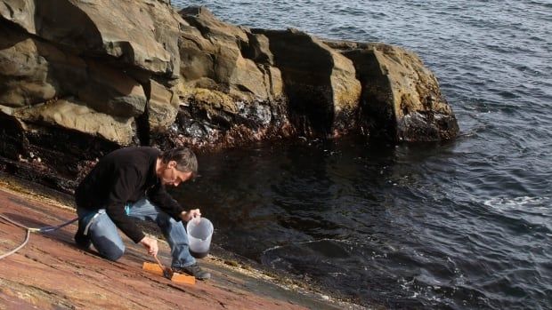 Man crouches on large rock by ocean with jug and paintbrush in hand