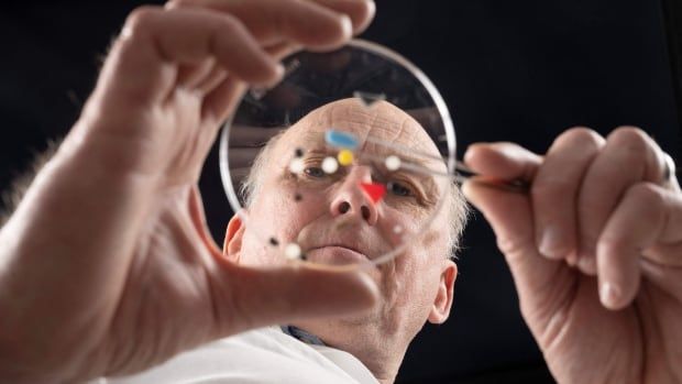 A man stands over a petri dish that is filled with tiny bits of plastic.