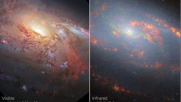 The left Hubble image shows a cloudy looking galaxy which looks more sparse in the James Webb telescope image on the right.