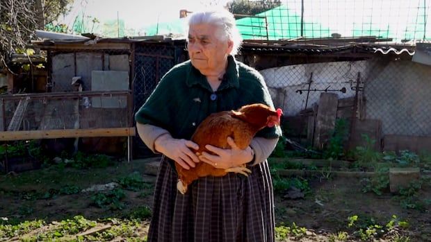 An elderly woman stands outside holding a chicken. 