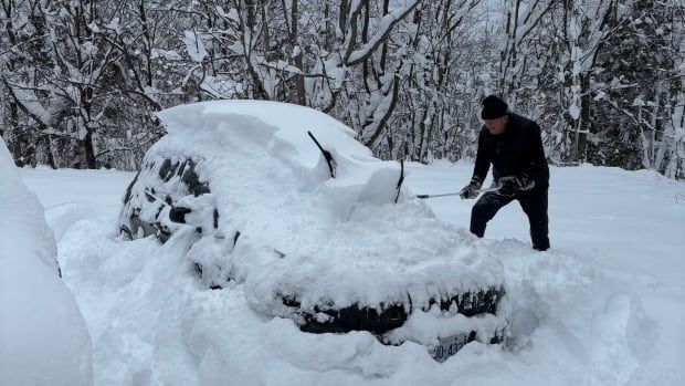 A person clears snow off a car.