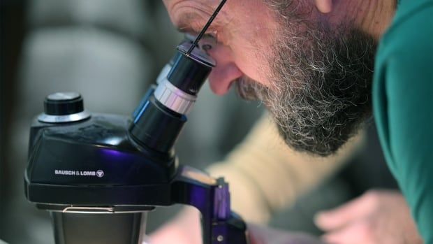 A man with a beard looks into a microscope.