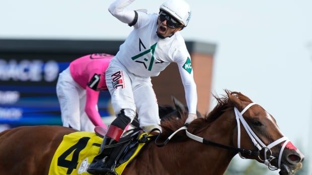 A jockey in white pumps his fist atop a brown horse on a race track on a sunny day