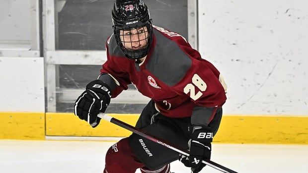 Montreal Victoire forward Catherine Dubois skates during the second period of a PWHL regular-season game against Boston at the Verdun Auditorium on January 13, 2024 in Quebec.