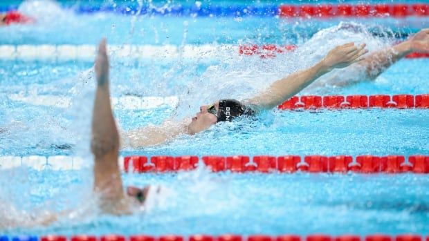 A male swimmer competing in a medley on backstroke.