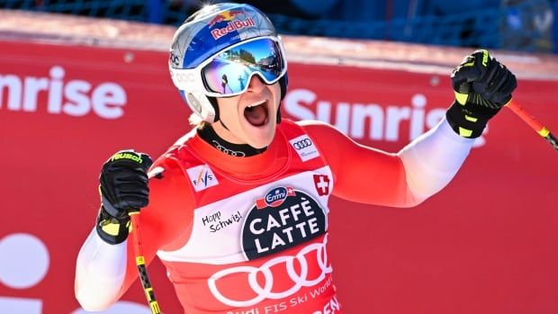 A male alpine skier pumps both fists while shouting in celebration at the end of a downhill course.