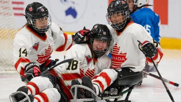 Hockey players celebrate a goal.