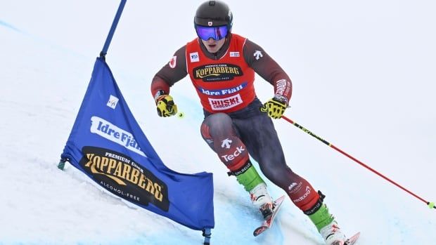 Canadian male ski cross racer. 