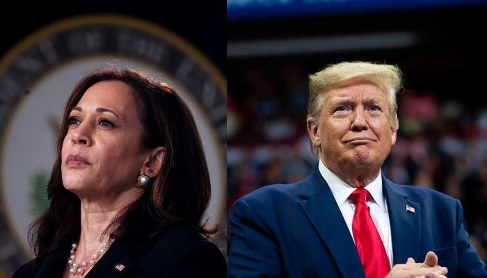 Meet 20 billionaires backing Trump and Kamala in the race for The White House