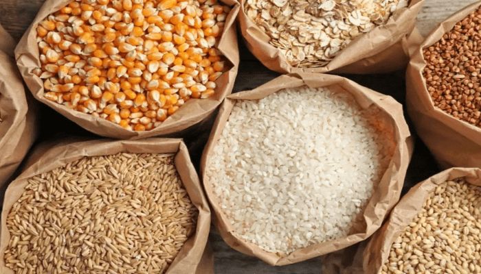 Paddy rice, maize, soybean production to decline 13% in 2024