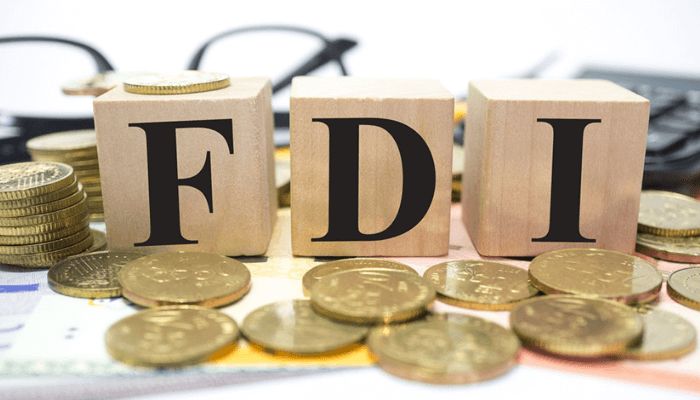 FG plans to lure in FDI by removing bottlenecks for businesses