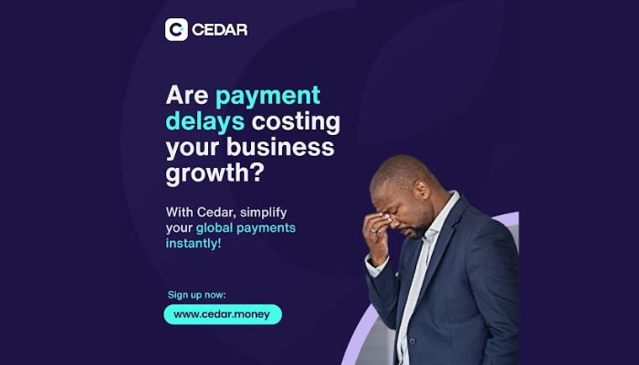 Introducing Cedar Money: An Essential Tool for Secure, High-Volume and Global Business Payments