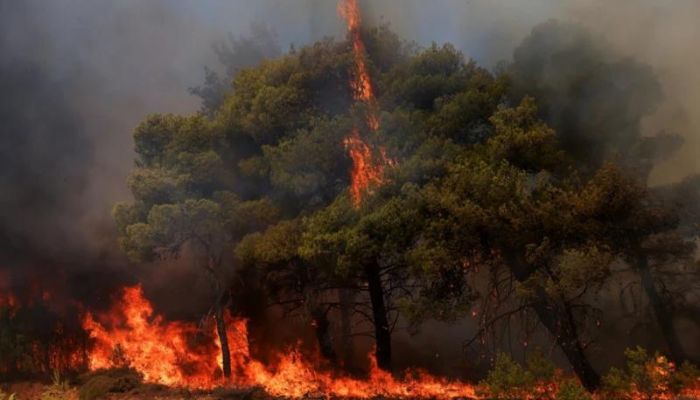 greece wildfire