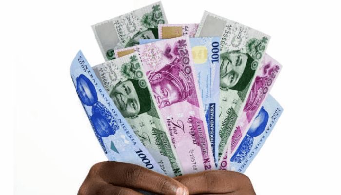 Naira stability, lower inflation to shape economy in 2025