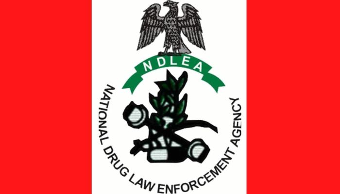 NDLEA nabs ex-convict, recovers codeine in Rivers