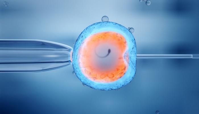 Benue varsity hospital records first successful IVF birth