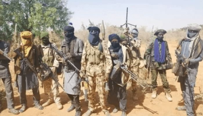 40 farmers feared dead, several missing as terrorists attack Borno