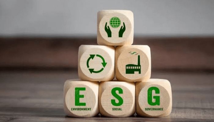 How ESG can drive Nigeria’s green financing market