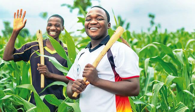 Firm launches job portal for youth farmers in Nigeria