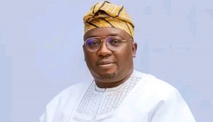 Second phase of Siemens project to commence in Q1, 2025 — Adelabu