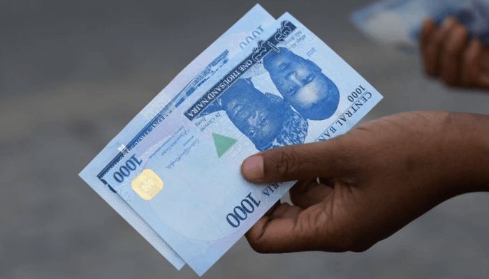 Nigeria’s currency woes moderating appetite to invest in Africa’s largest country