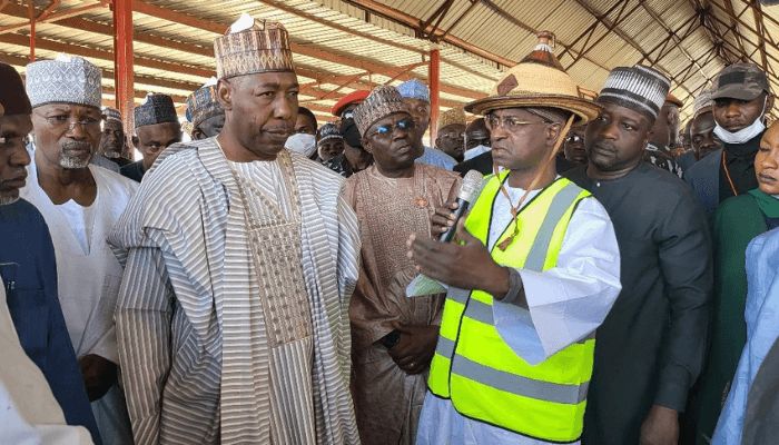 Battered economy: Borno invests in livestock with 1000 improved breeds