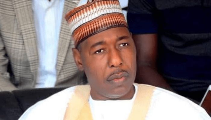 German Ambs, UNDP Country Rep unveil Zulum’s mass housing units, ICT centre