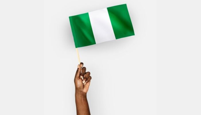 Nigeria’s democracy: Bridging the gap between aspiration and reality