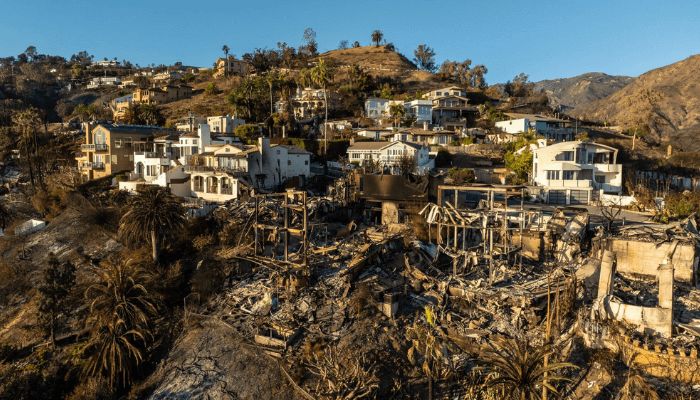 Lessons for Nigerian landlords on why some homes survived LA wildfires