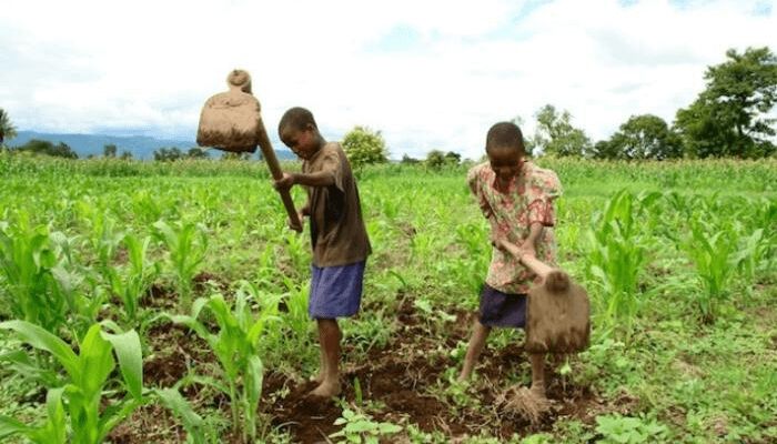 Lutheran World Relief raises awareness to tackle child labour in farming