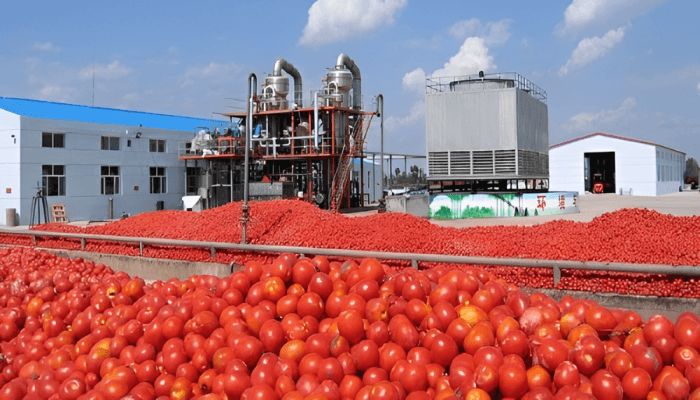 Smuggling, high cost of energy halt Dangote tomato paste production