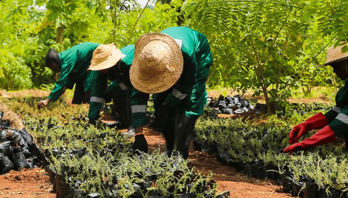 BATN Foundation set to empower young agripreneurs with N27m