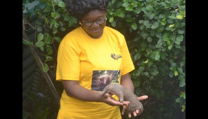 Stakeholders lament illegal trade of pangolins