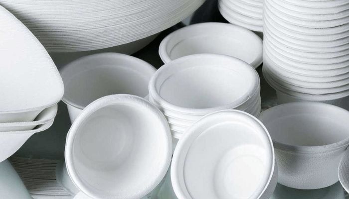 Investing in disposable plates, cups manufacturing plant