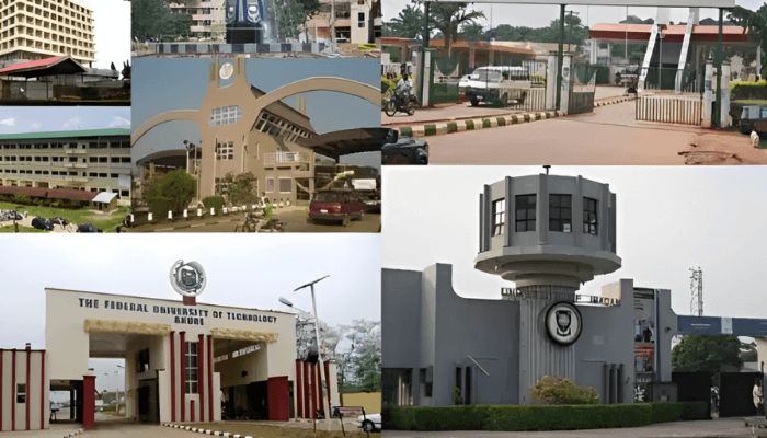 More universities spring up in Nigeria to address persisting human capital challenges