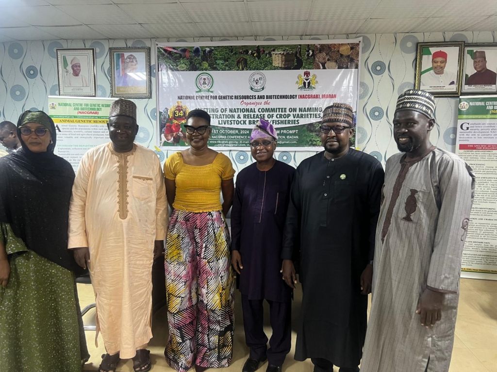 L-R: Victor Oladipo, Breeder, Seed-Co Nigeria; Dr Sunday Aladele, Director Research, NACGRAB; AgboadeOladotun, Regional Director, NASC; Dr. Anthony Okere, DG NACGRAB; Prof B G J Kabir, Director/CEO Lake Chad Research Institute (LCRI); Mr Abubakar Mohammed, Chief Agric Superintendent, LCRI; Prof Shehu G. Ado, Chairman, Technical Sub-Committee, National Varietal Release; Dr K K Mala, Programme leader Wheat and Barley, LCRI; Mr John Amidu, Asst. Chief Agric Superintendent, LCRI during an on-field activity critical to delivering the ‘Crown’ wheat seed variety in Plateau State.