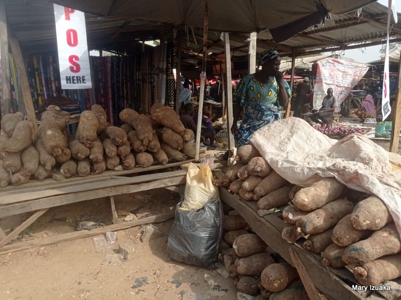 Tubers of yam