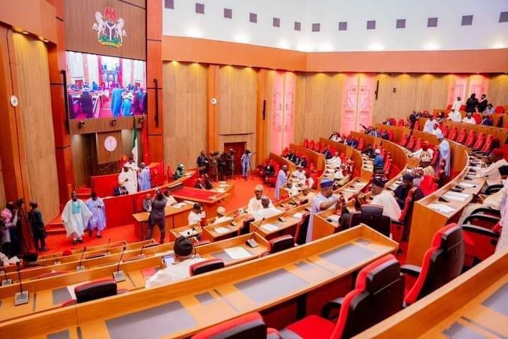 Nigerian senators during plenary at the newly-renovated chamber