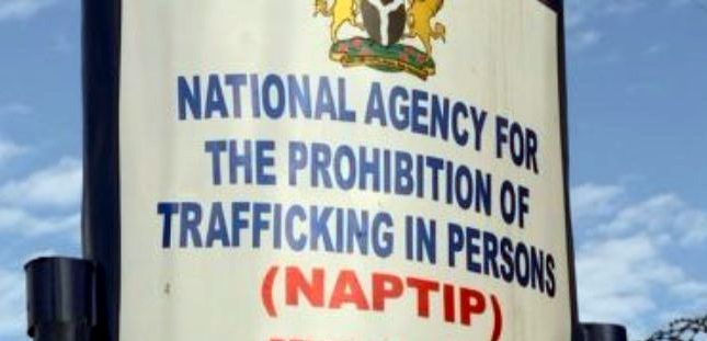 National Agency for the Prohibition of Trafficking in Persons (NAPTIP)