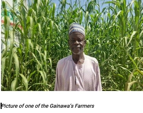 one of the Gainawa's Farmers here.