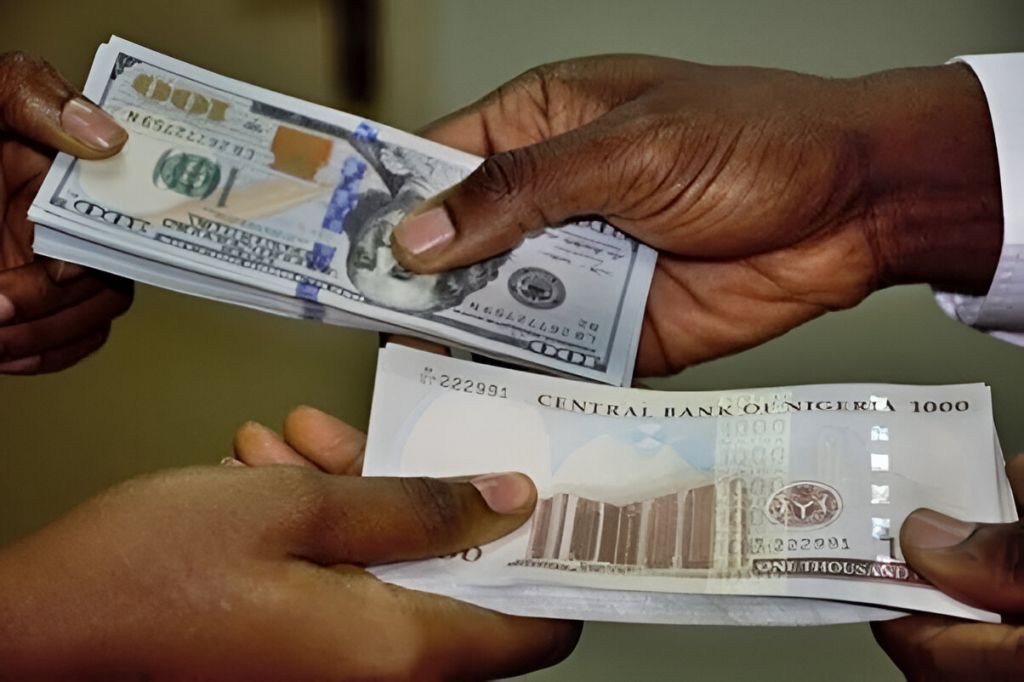 An image showing naira and dollar notes