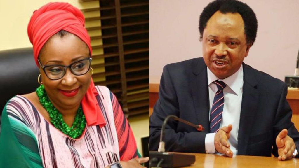 'Mummy, leave me alone' - Shehu Sani hits back at El-Rufai's wife on X